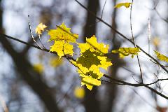 IMG_5897.jpg