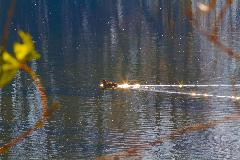 IMG_5952.jpg
