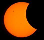 IMG_8570.jpg