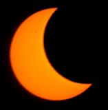 IMG_8593.jpg