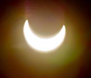 IMG_8620.jpg