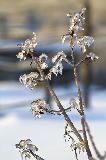 IMG_8490.jpg