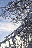 IMG_8648.jpg