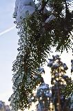 IMG_8655.jpg