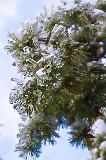 IMG_8657.jpg