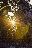 IMG_8662.jpg