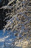IMG_8664.jpg