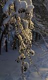 IMG_8670.jpg