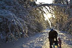 IMG_8673.jpg