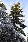 IMG_8687.jpg