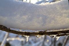 IMG_8704.jpg
