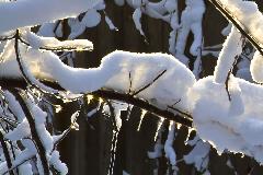 IMG_8708.jpg