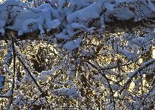 IMG_8713.jpg