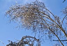 IMG_8722.jpg