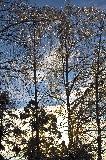 IMG_8732.jpg