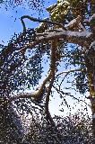 IMG_8737.jpg
