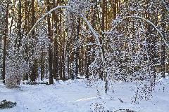 IMG_8754.jpg