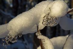 IMG_8758.jpg