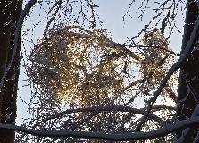 IMG_8765.jpg