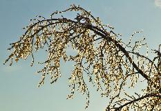 IMG_8800.jpg