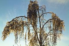 IMG_8805.jpg