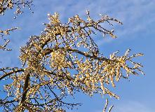 IMG_8810.jpg