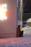 IMG_8865.jpg
