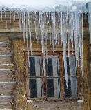 IMG_5503.jpg