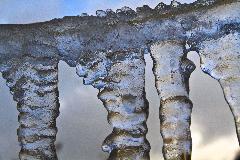 IMG_9047.jpg