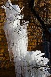 IMG_9449.jpg