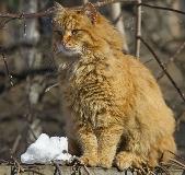 IMG_9454.jpg