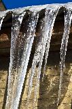 IMG_9464.jpg