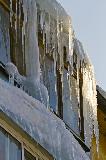 IMG_9474.jpg