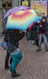 IMG_1351.jpg