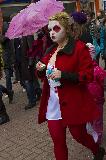 IMG_1596.jpg