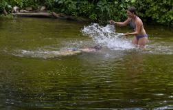 IMG_7192.jpg