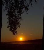 IMG_7419.jpg