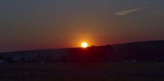 IMG_7430.jpg
