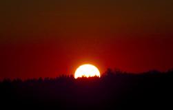 IMG_7434.jpg