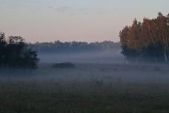 IMG_7458.jpg