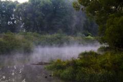 IMG_7463.jpg
