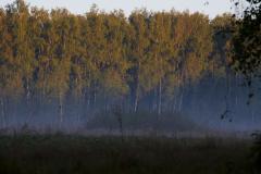 IMG_7476.jpg