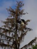 IMG_7534.jpg