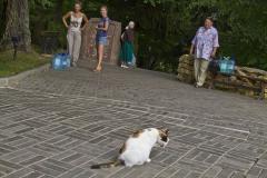 IMG_7567.jpg