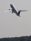 IMG_7986.jpg
