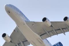 IMG_8072.jpg