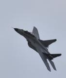 IMG_8685.jpg