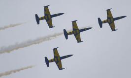 img_113.jpg