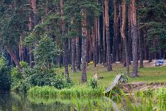 IMG_3487.jpg