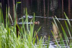 IMG_3492.jpg
